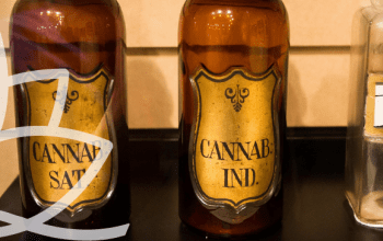 Three old looking jars with canna and hashish labels | Dockside Cannabis