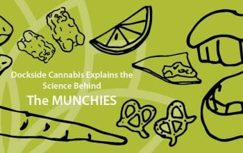 Munchies blog header-01