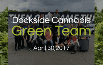 Dockside Cannabis Green Team Group Photo Banner | Dockside Cannabis