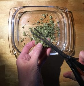 cococannabutter trim herb