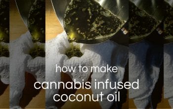 infused coconut oil blog header-06 copy