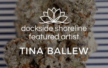 tina ballew blog header-13-13