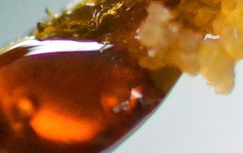 Close up of a honey colored concentrate bubble | Dockside Cannabis