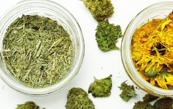 Spices and weed in containers | Dockside Cannabis