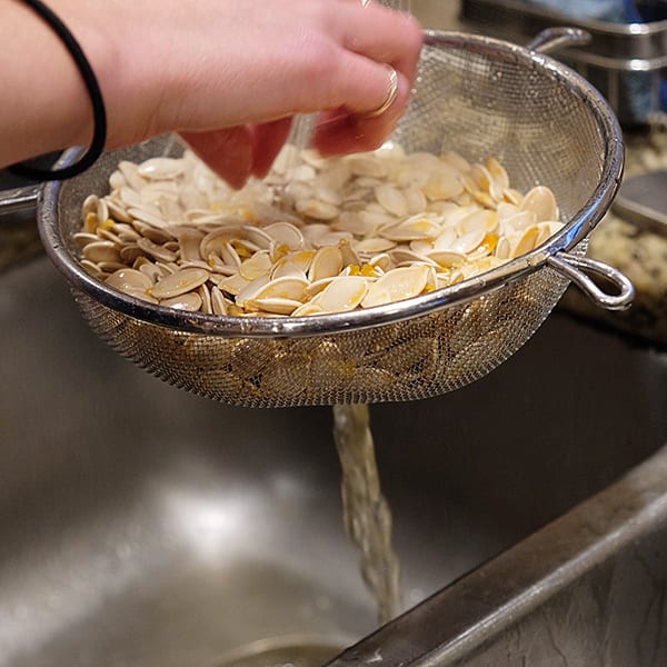 hand holding strainer with seeds in it with water getting poured over the seeds | Dockside Cannabis