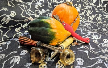 Squash and pumpkin surrounded with carving tools and two bowl pieces on skeleton background | Dockside Cannabis