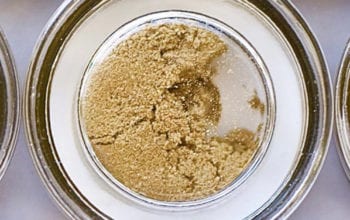 Bubble hash puffin farm | Dockside Cannabis