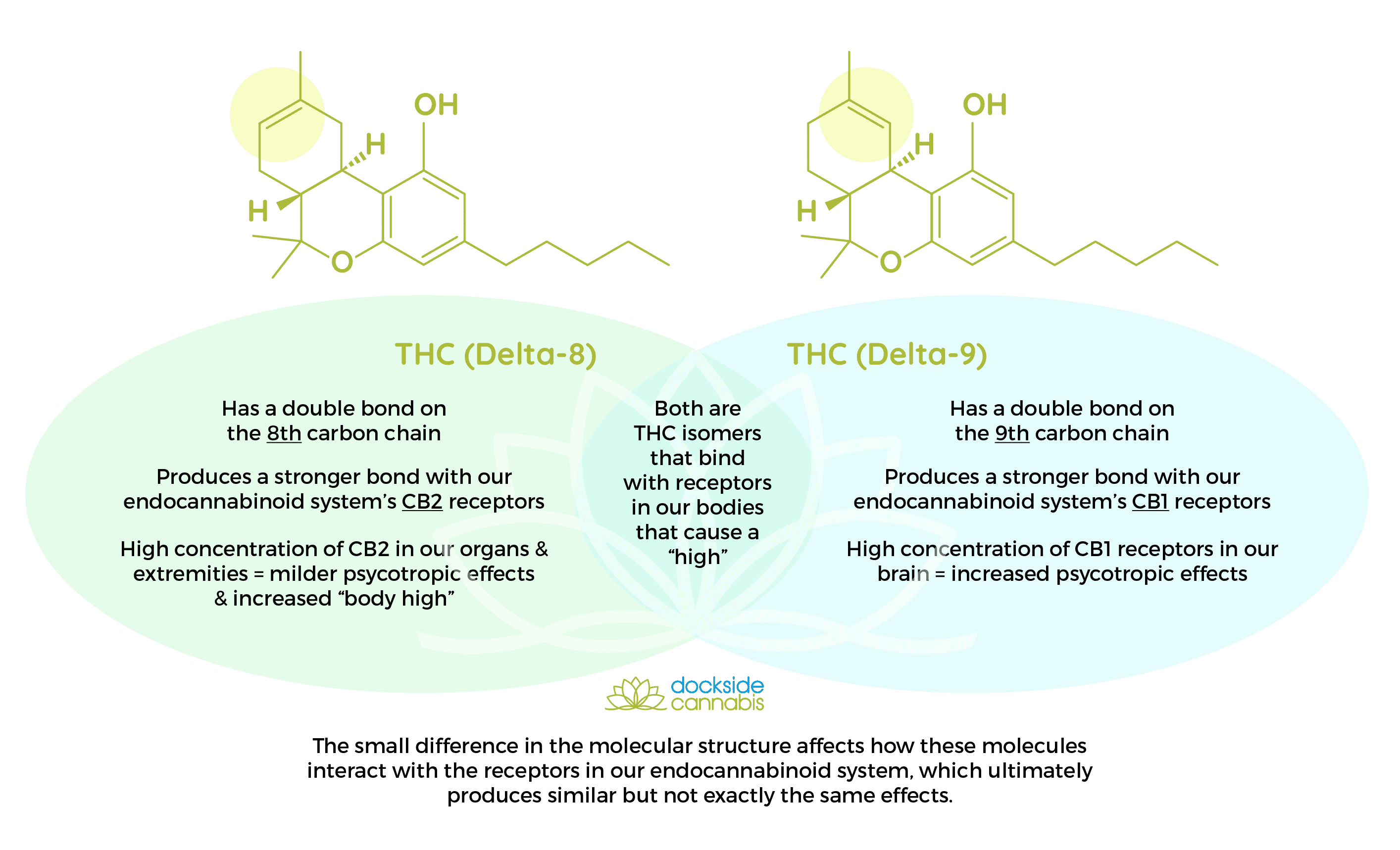 What is THC Delta-8? - Dockside Cannabis