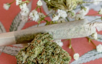 Mom weed | Dockside Cannabis