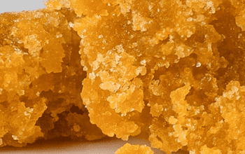 Cannabis wax gold orange color | Dockside Cannabis