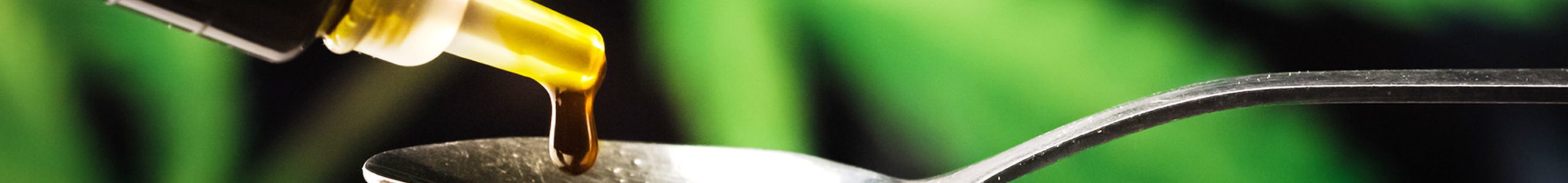 Everything You Need to Know about RSO and Whole Plant Extract