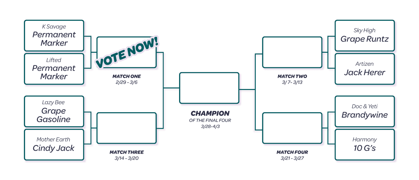 Competition bracket showing competing strains.