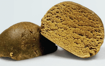 Cross Section of Temple Ball | Dockside Cannabis