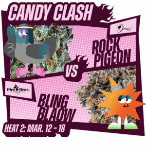 A bracket image showing Rock Pigeon vs. Bling Blaow in the Dockside Cup bracket